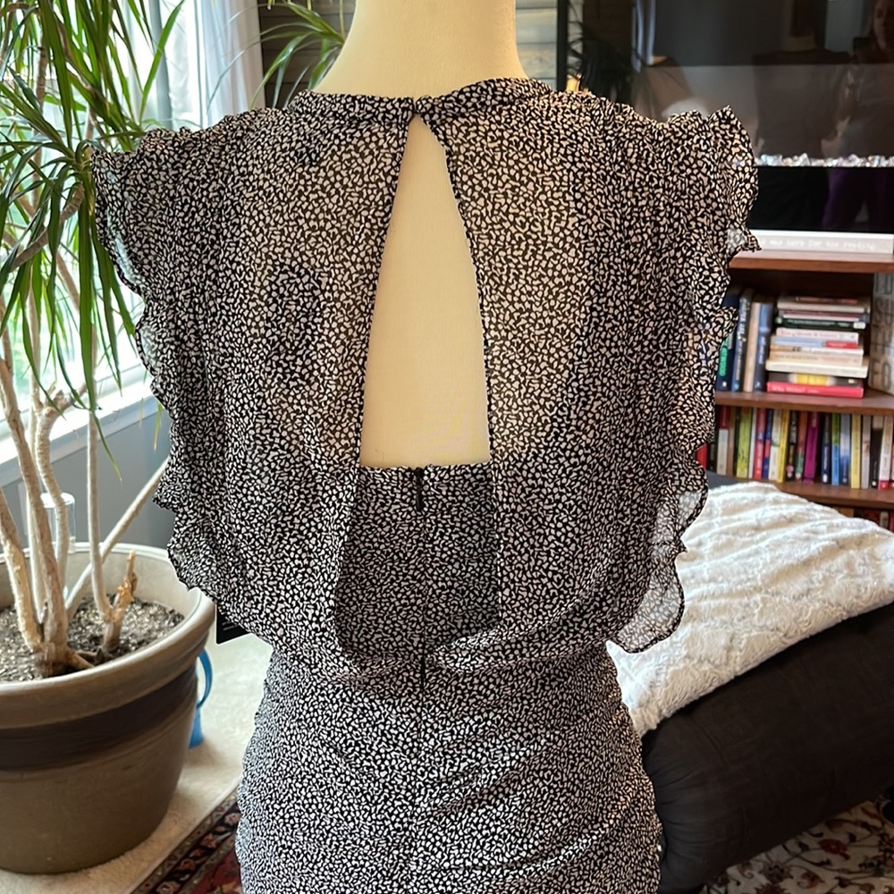 Express Ruffled Dress - Picture 3 of 8